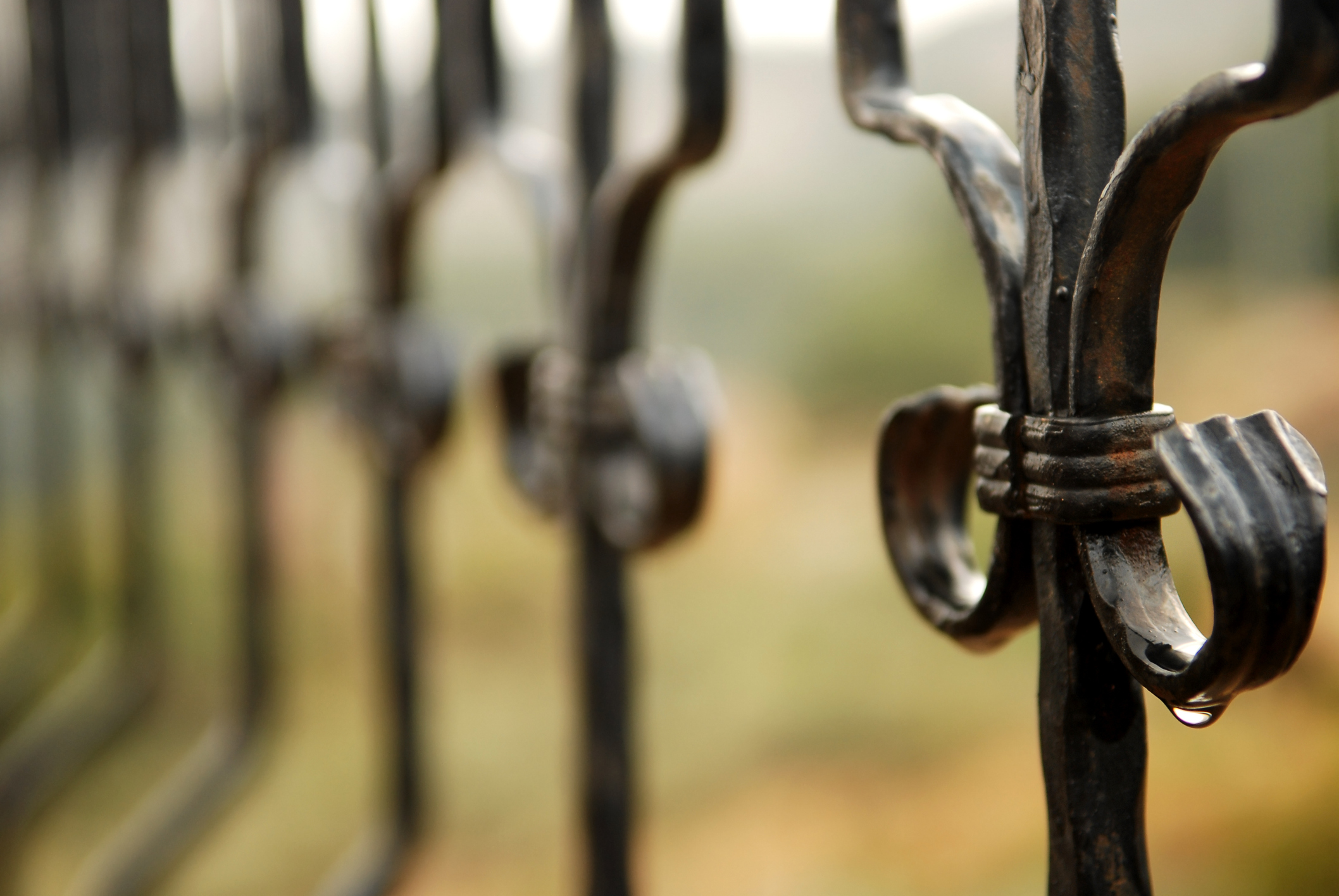 wrought iron fence closeup